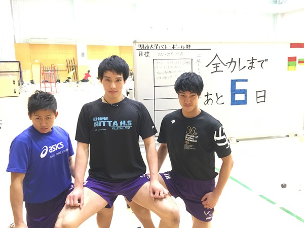 明治大学バレーボール部練習着 asics - 明治大学 男子バレー XOサイズ