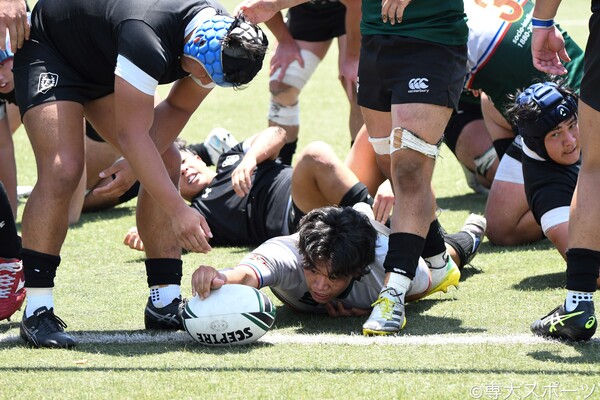 専大スポーツ編集部 ニュース